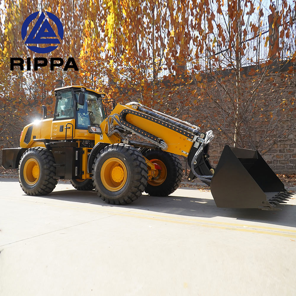 Chinese telescopic loader