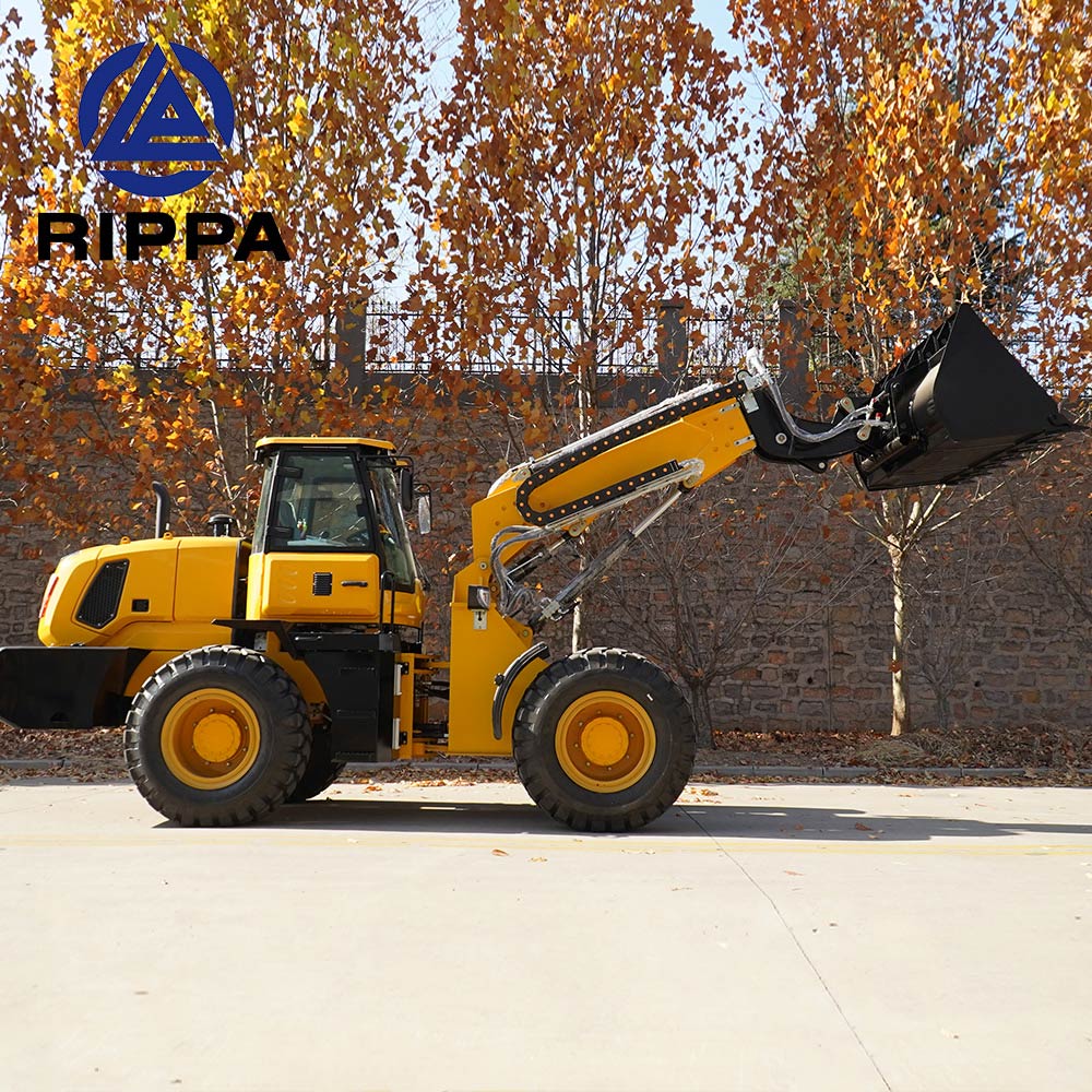 Chinese telescopic loader