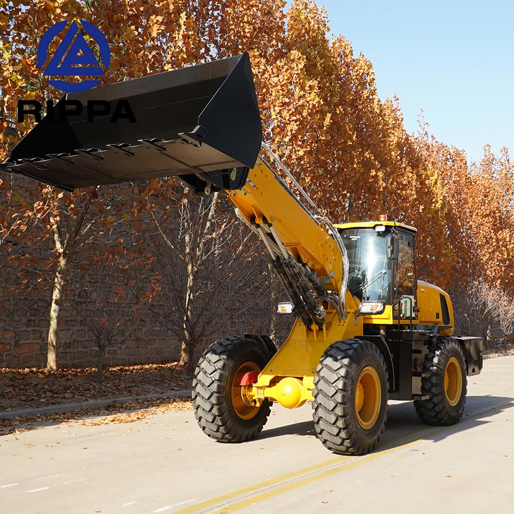 Chinese telescopic loader