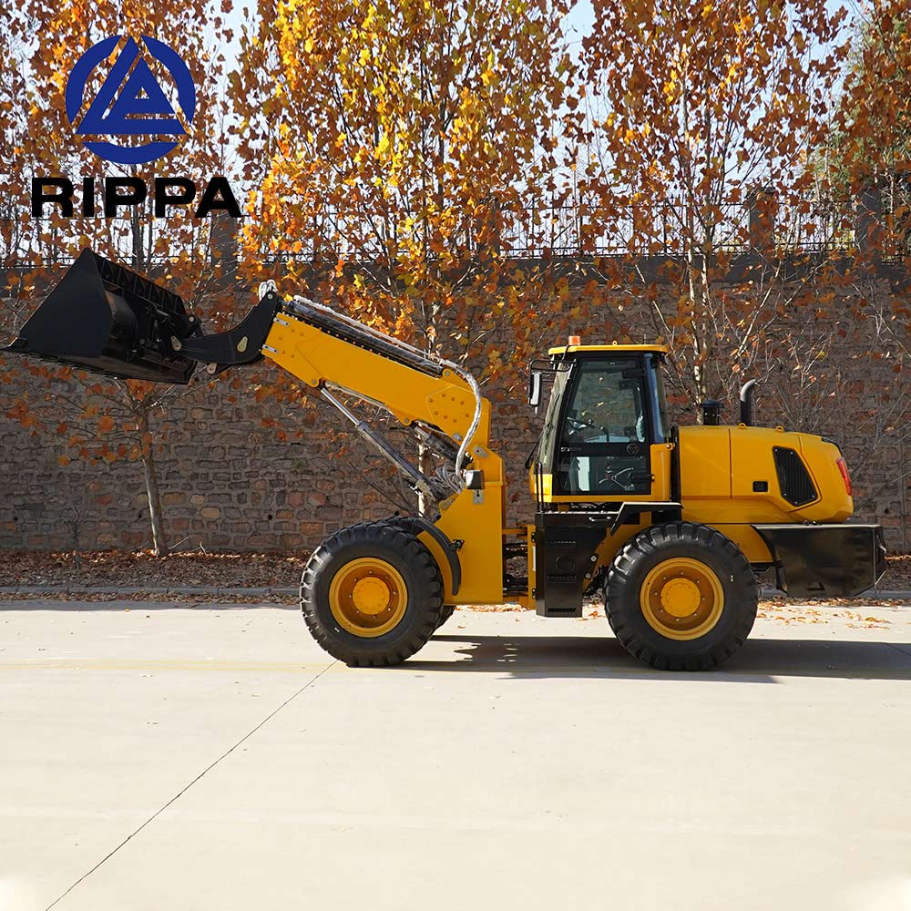 Chinese telescopic loader